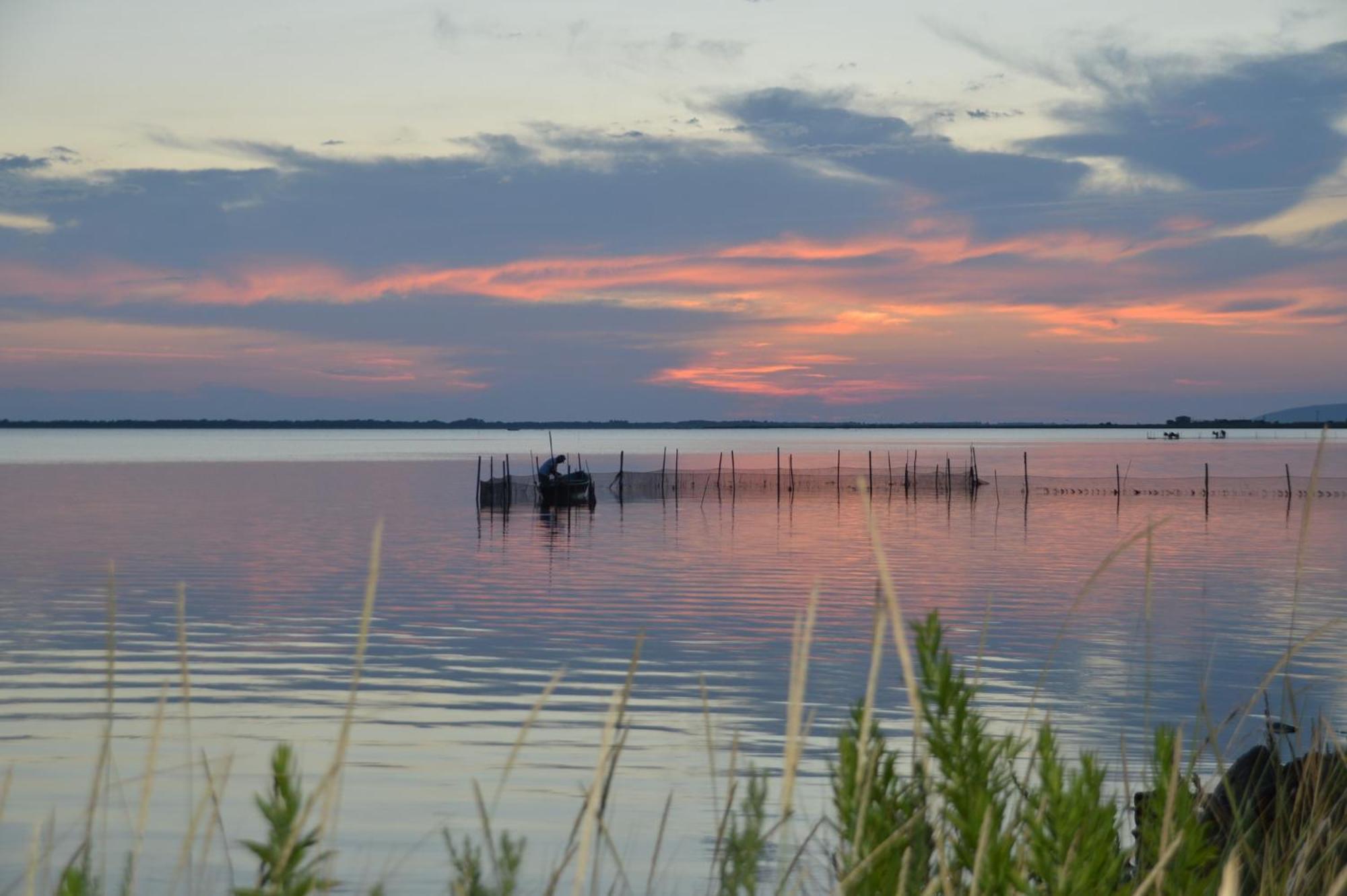 Le Stanze Di Ricci - Affittacamere Low Cost Lesina Kültér fotó